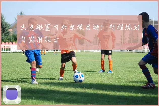 杰克逊塞内加尔深度游:行程规划与实用贴士